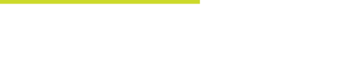 VisualSolv Logo